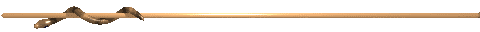 pbsnake3.gif (112146 bytes)